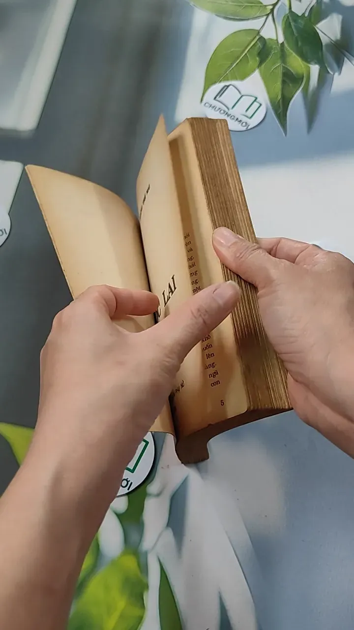 [XƯA] Ngọc Lai (1992) - Hoàng Thế Mai 776085