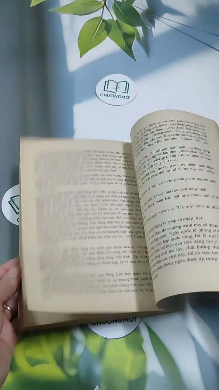 Luật Quốc Tế  Lý Luận Và Thực Tiễn - Trần Văn Thắng 707260