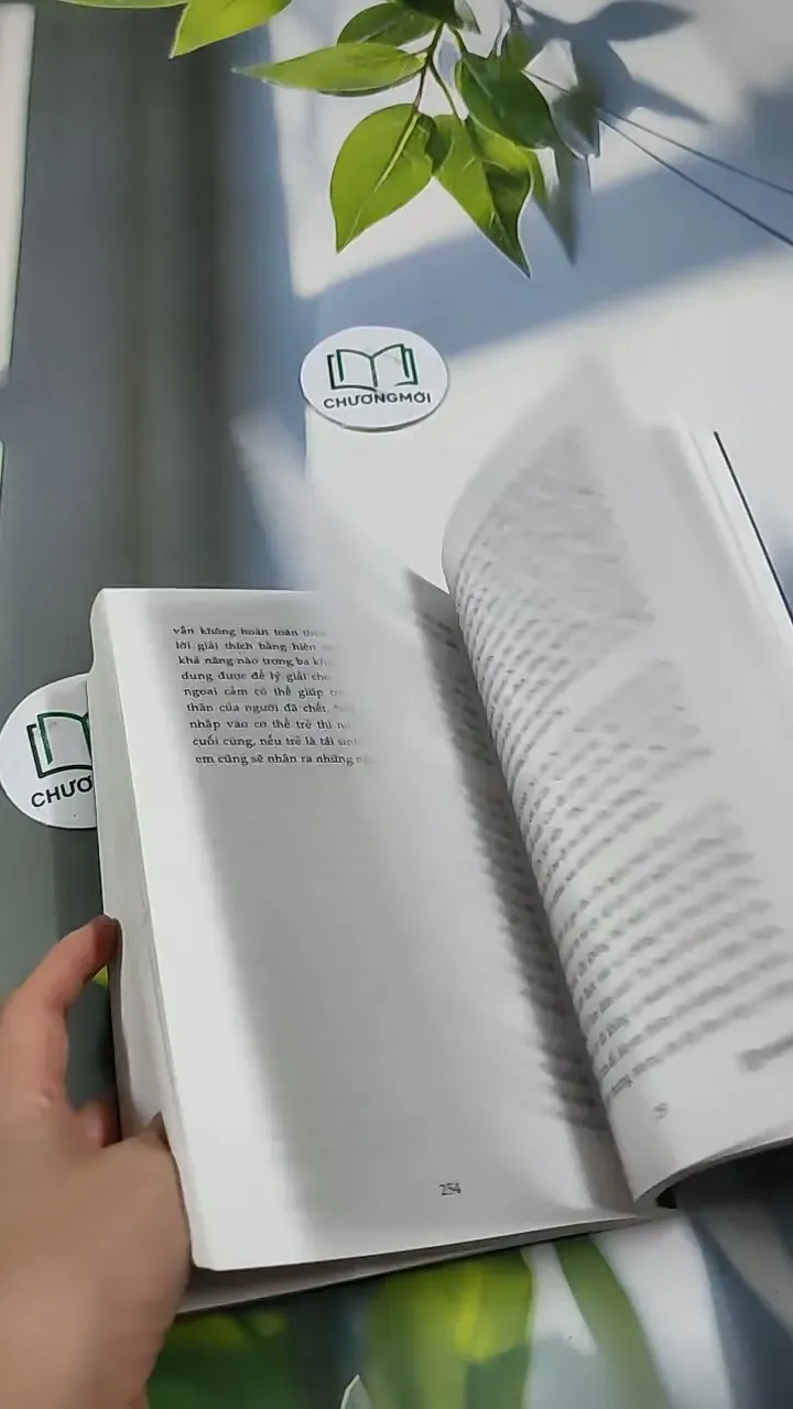 Tiền Kiếp - Có Hay Không? 705673