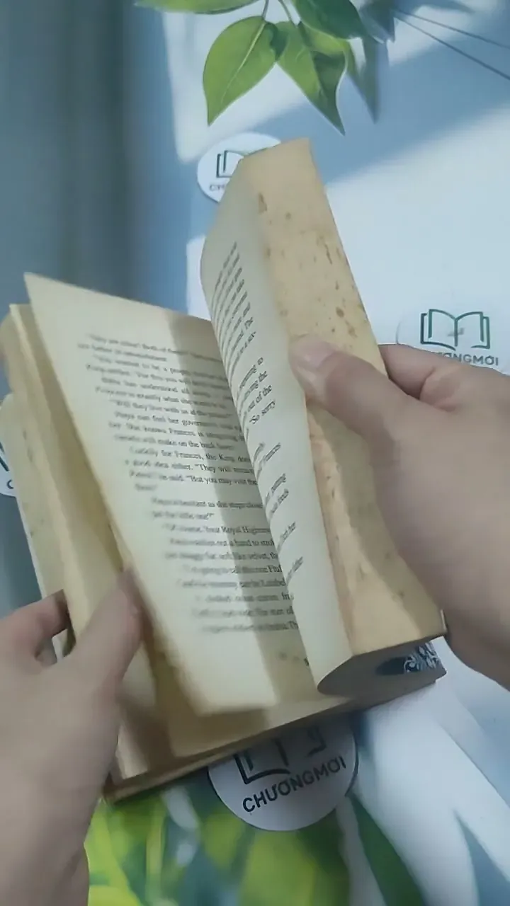 The Princess and the Foal - Stacy Gregg 715620