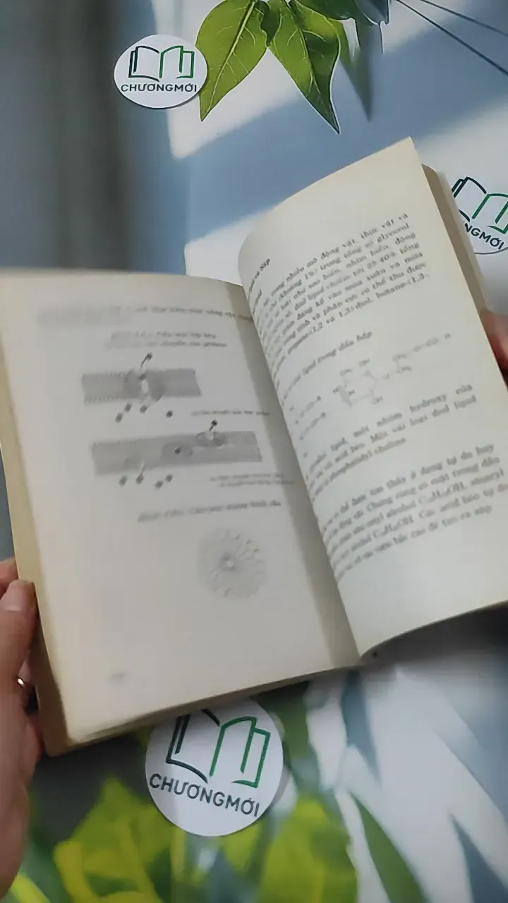 Hóa Học Thực Phẩm - Lê Ngọc Tú 780869