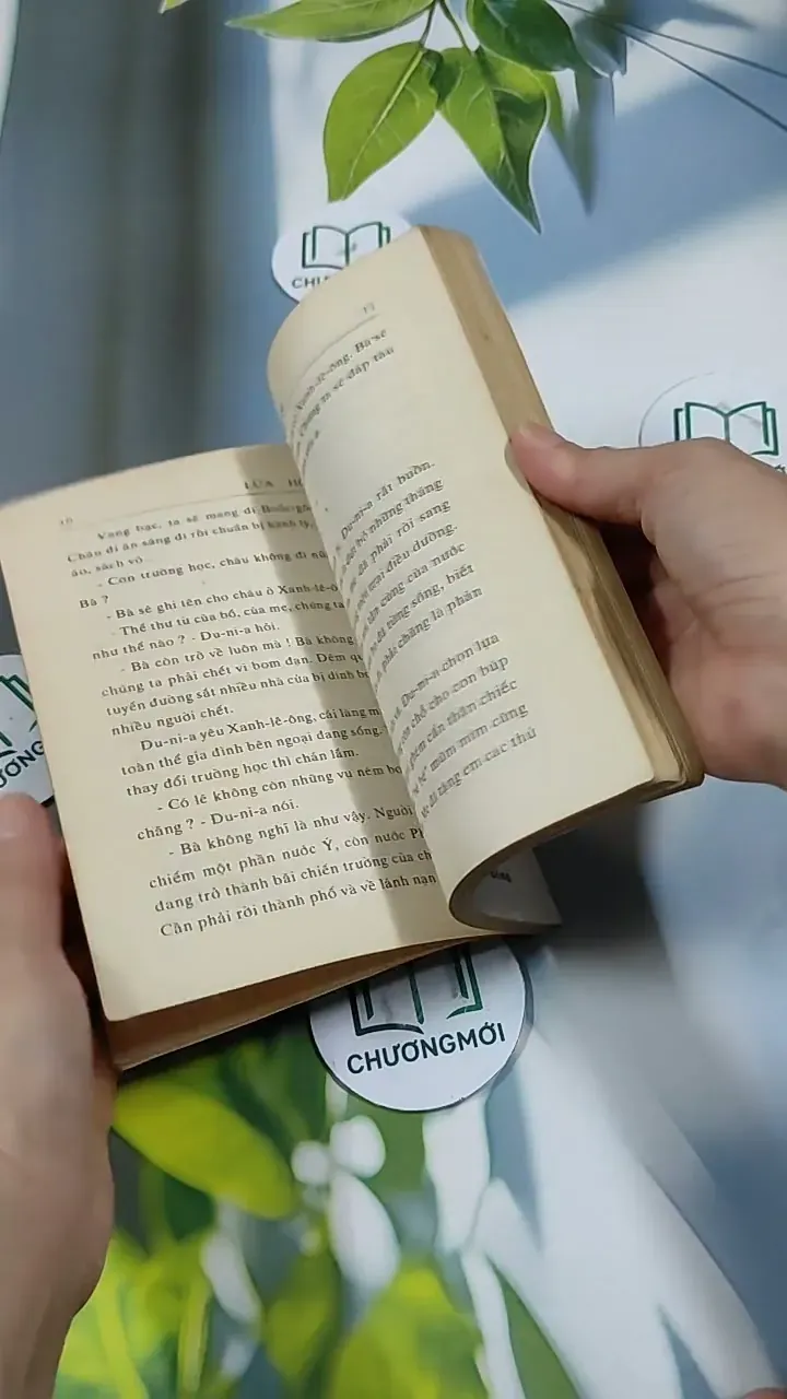 Lửa Hồng - Rolande Cause 713851