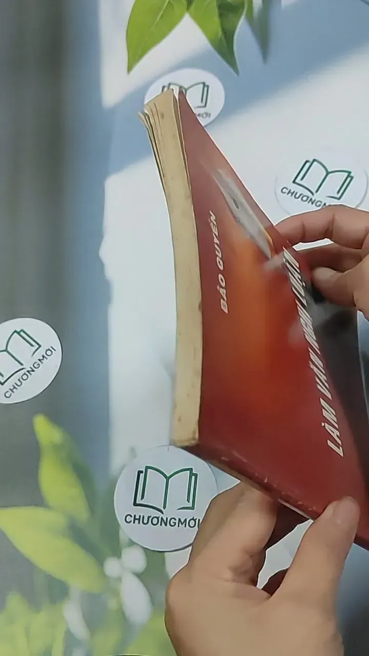 Rèn kỹ năng làm văn nghị luận - Bảo Quyên 698574