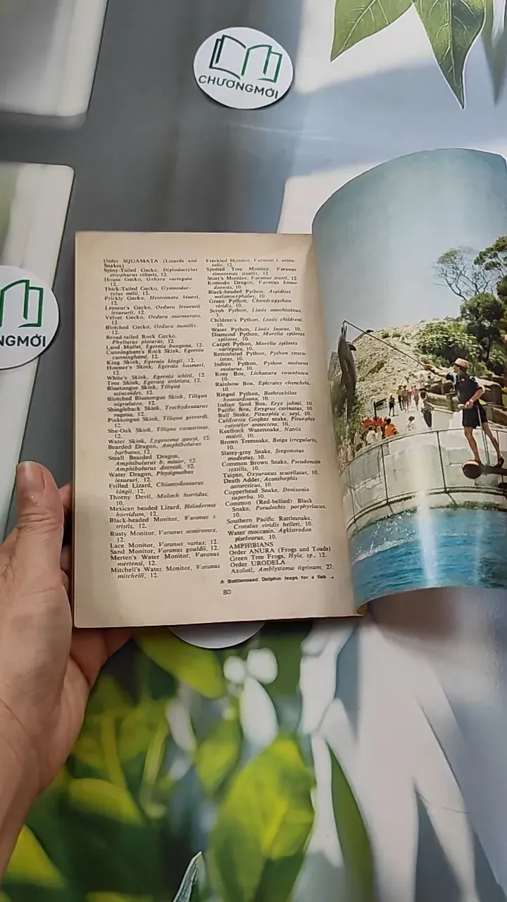 [MIỄN PHÍ BỌC SÁCH] [XƯA] Taronga Zoo Guide (1959) 754439