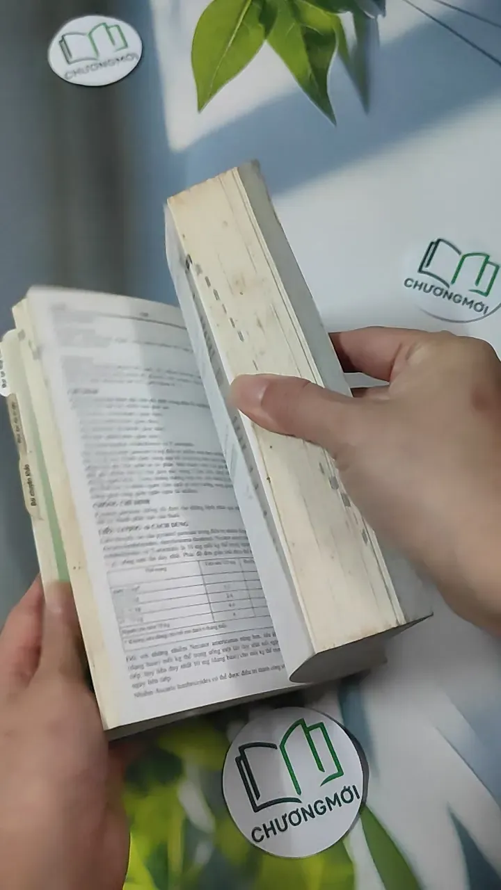 [MIỄN PHÍ BỌC SÁCH] [XƯA] Vidal Giúp Trí Nhớ 1999 (1999) 780901