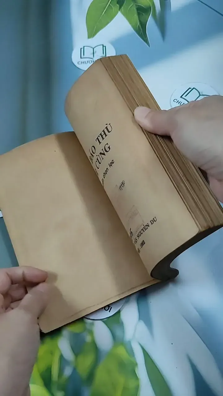 Cuộc Báo Thù Cuối Cùng 713840