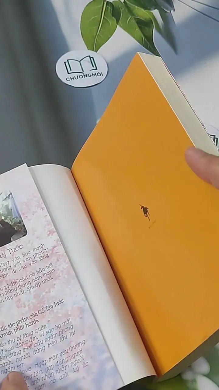 All In Love - Ngập Tràn Yêu Thương - Cố Tây Tước 705594