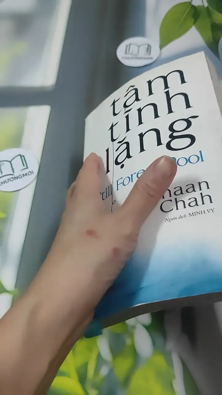 Tâm Tĩnh Lặng - Achaan Chah 727369