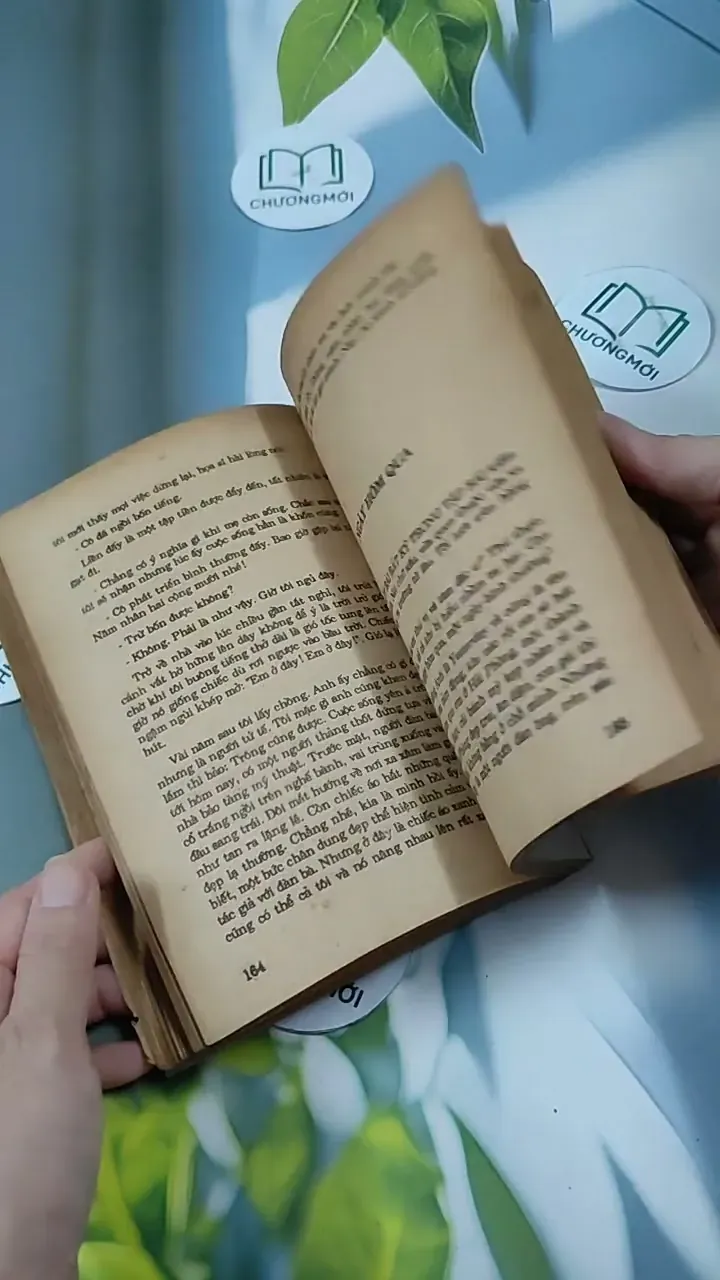 Cuộc Báo Thù Cuối Cùng 713840