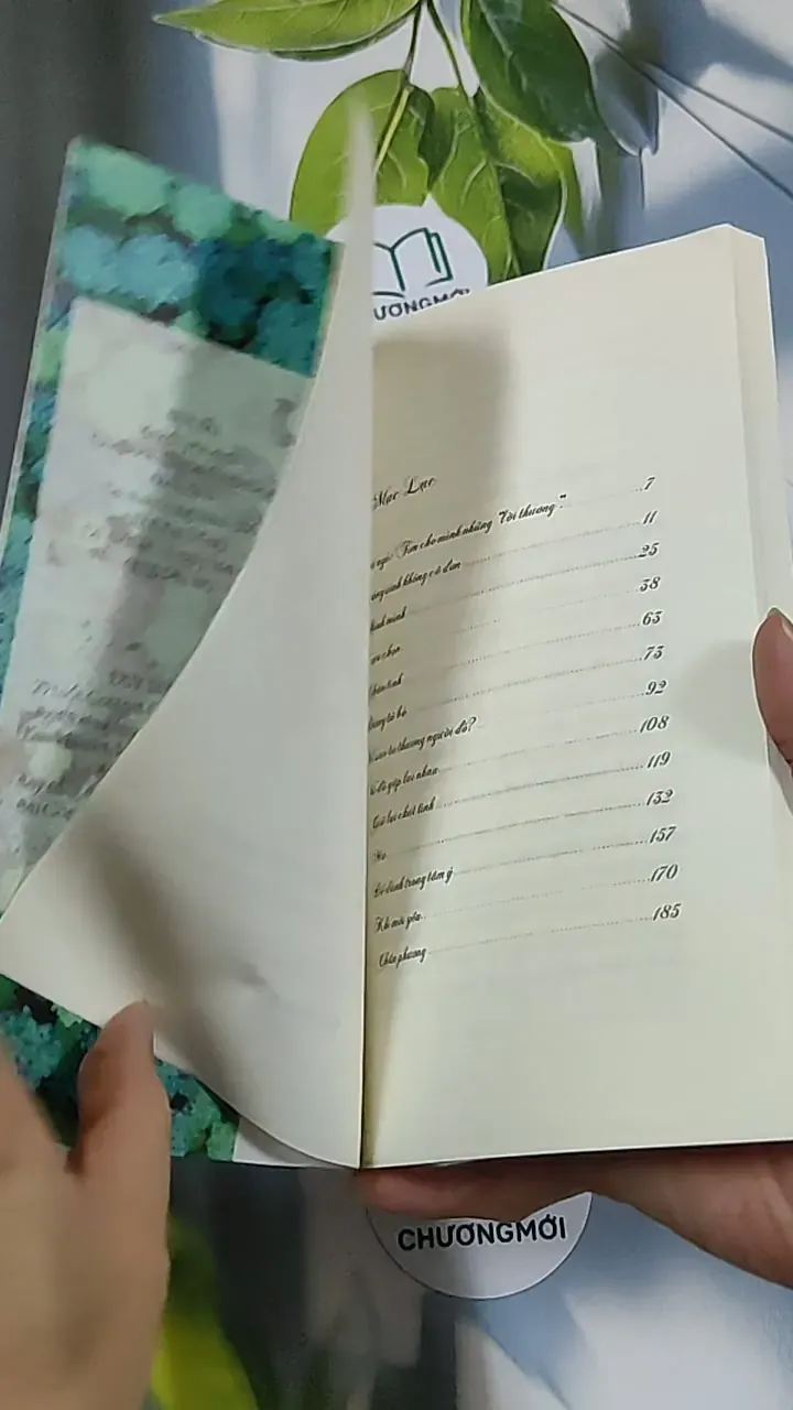 Vì sao ta thương người đó - Huy Hải 688717