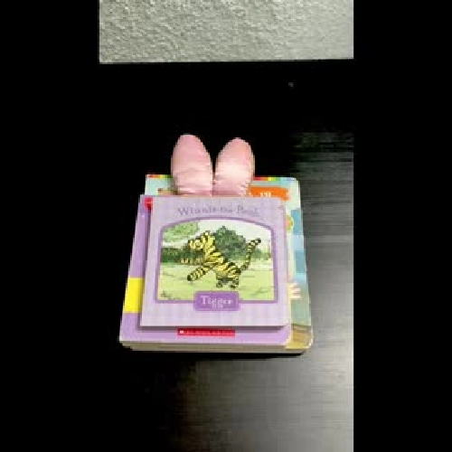 Board book Winnie-the-Pooh: Tigger