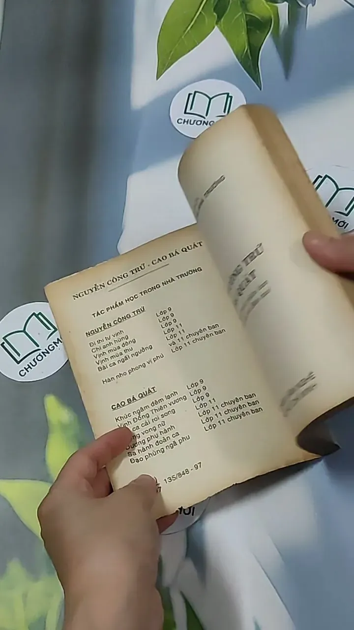 Cuộc đời Nguyễn Công Trứ: Cao Bá Quát - Hồ Sĩ Hiệp 698633