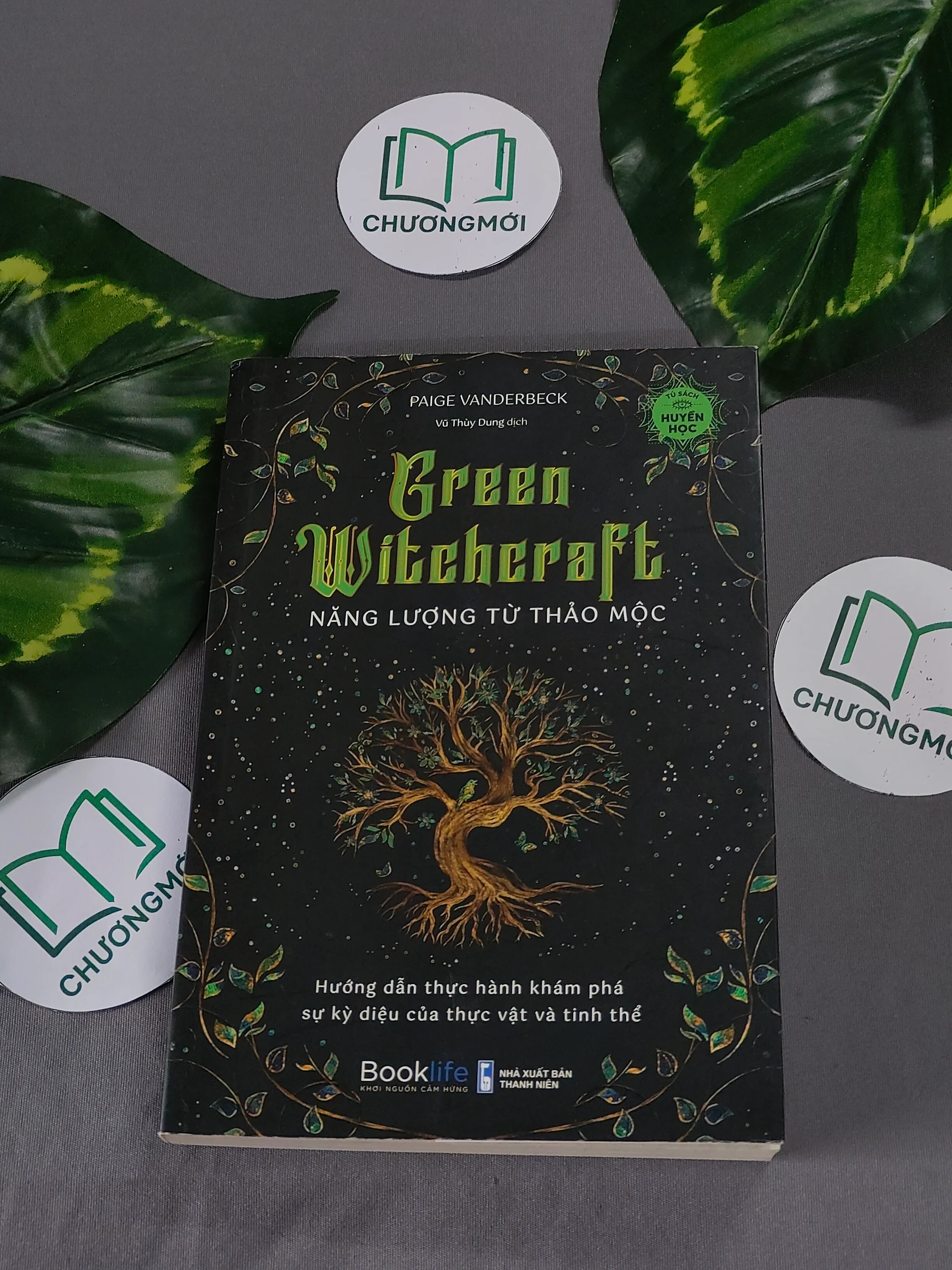 [MIỄN PHÍ BỌC SÁCH] Năng Lượng Từ Thảo Mộc - Paige Vanderbeck