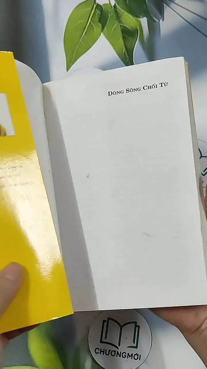 Dòng sông chối từ - Bùi Việt Sỹ 688701