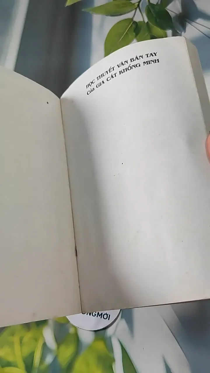 Học Thuyết Vân Bàn Tay Của Gia Cát Khổng Minh - Trình Hoành 727277