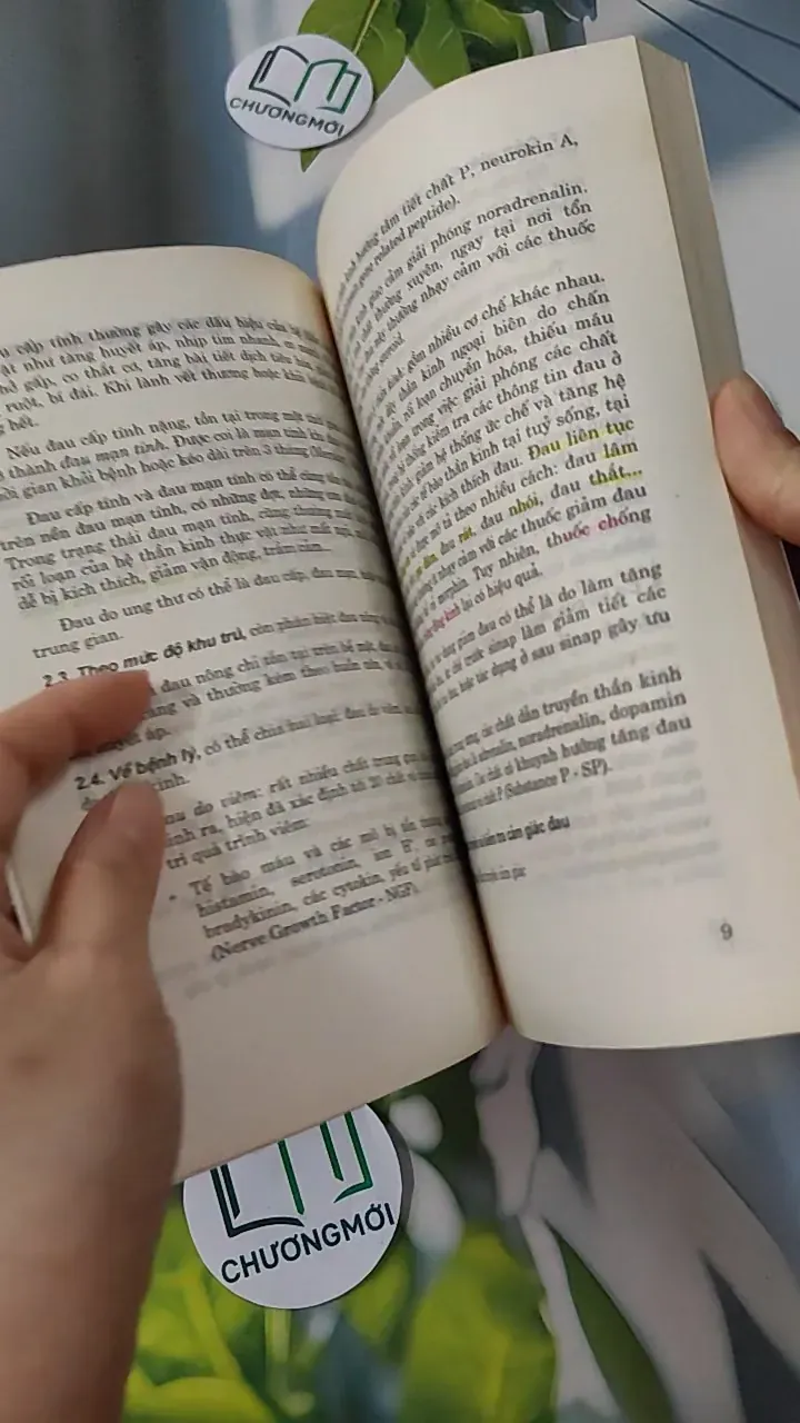 Các Thuốc Giảm Đau - Chống Viêm - PGS. TS. Đào Văn Phan 780807