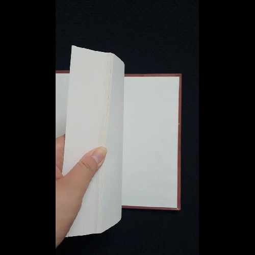 Bầu trời sụp đổ - Sidney Sheldon (bìa cứng)