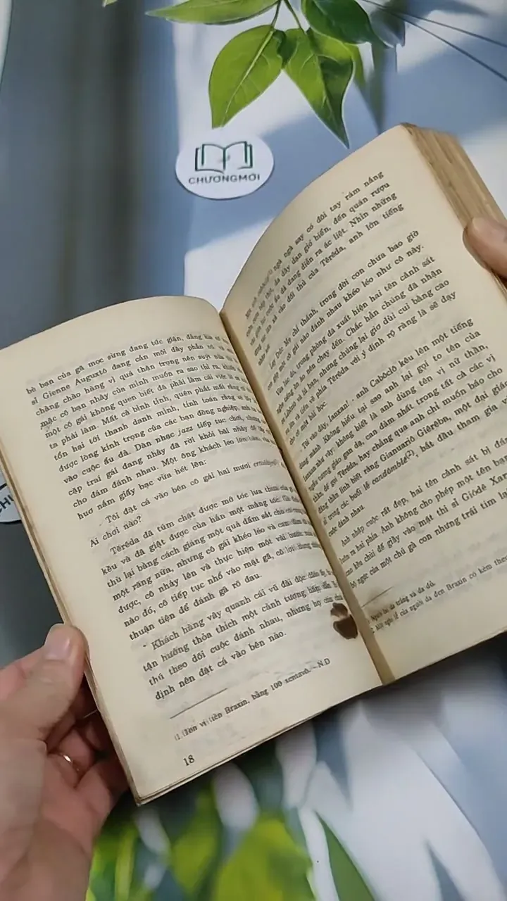 TêRêDa - G. AMaĐô 713871