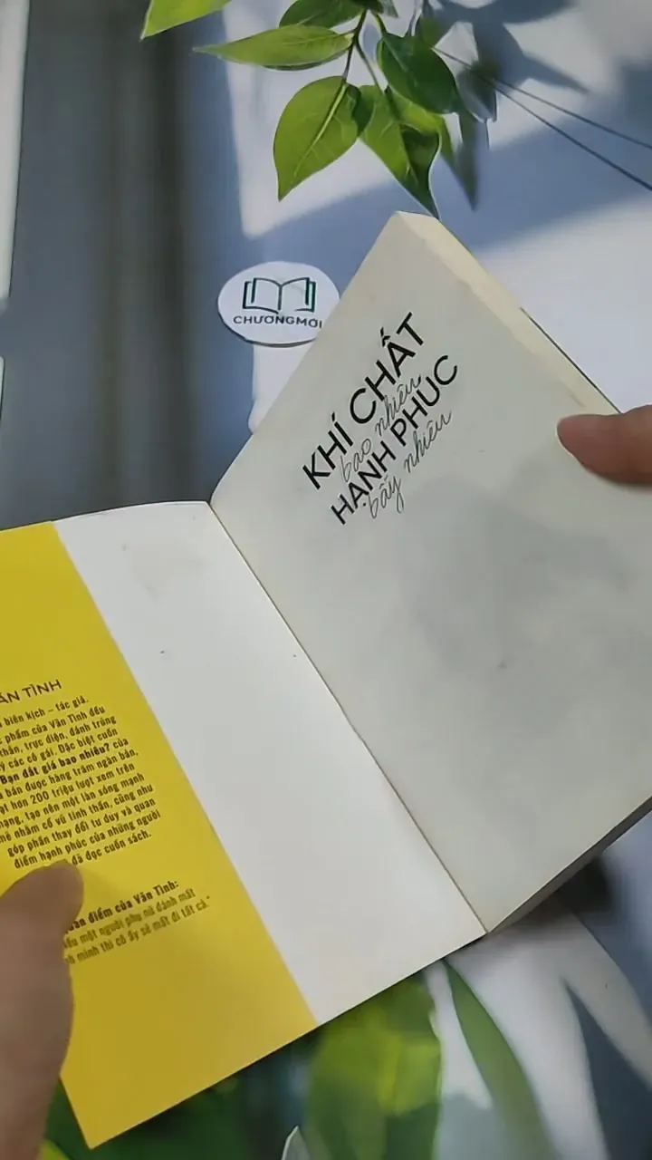 Khí Chất Bao Nhiêu, Hạnh Phúc Bấy Nhiêu - Vãn Tình 705717