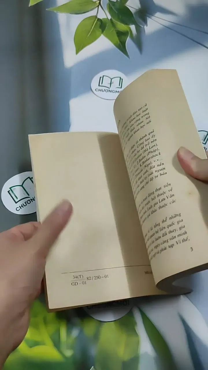 Luật Quốc Tế  Lý Luận Và Thực Tiễn - Trần Văn Thắng 707260