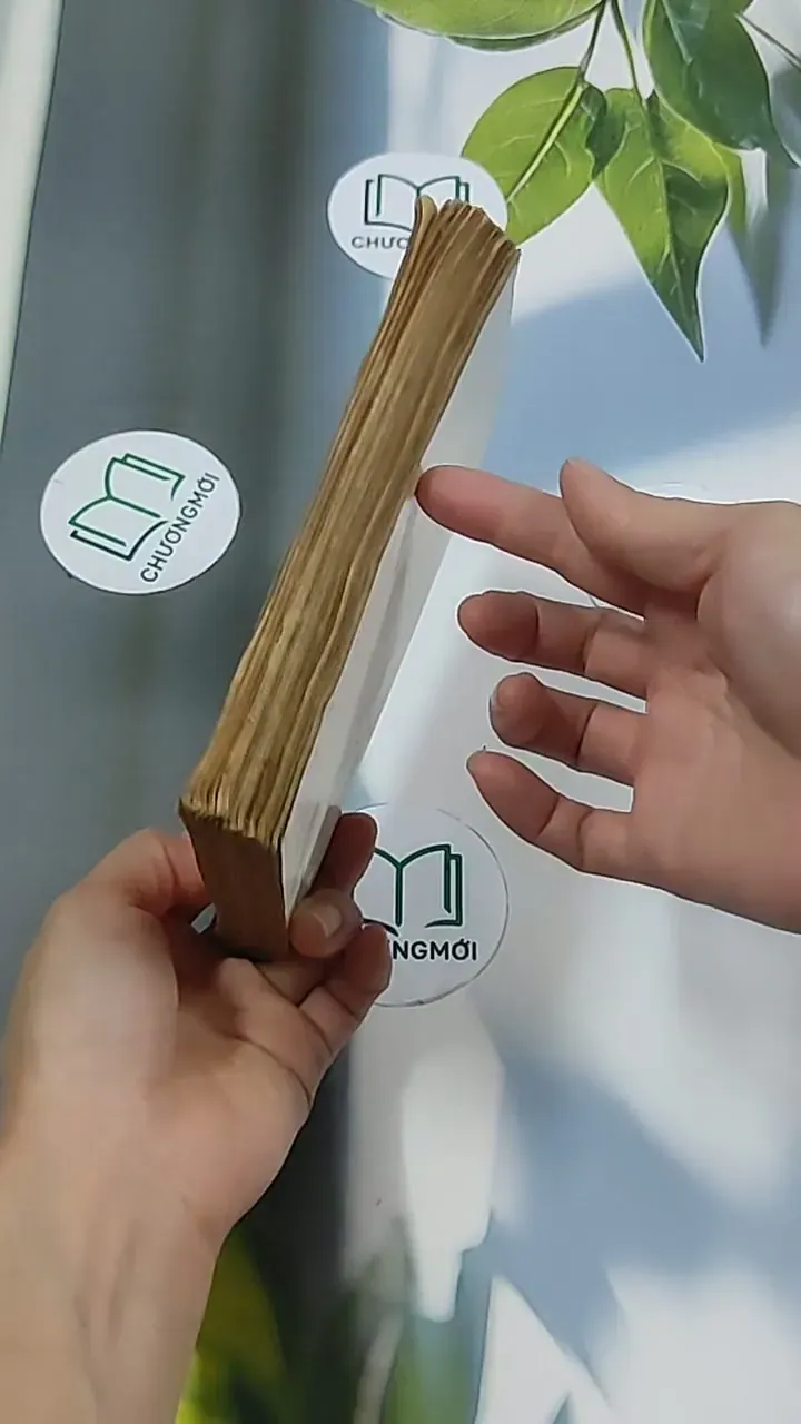 Số đỏ (1994) - Vũ Trọng Phụng 674980