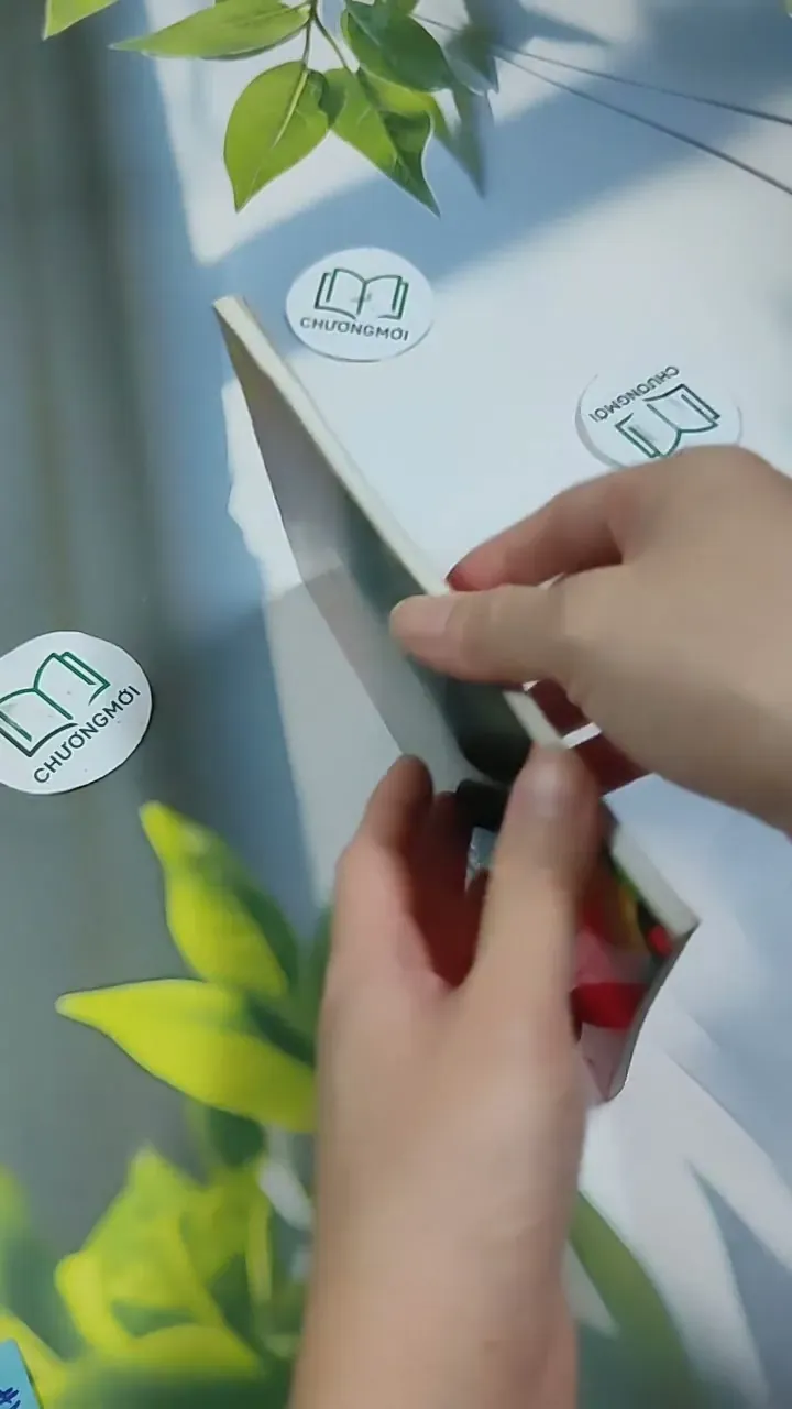 The Stranger - Norman Whitney 707313