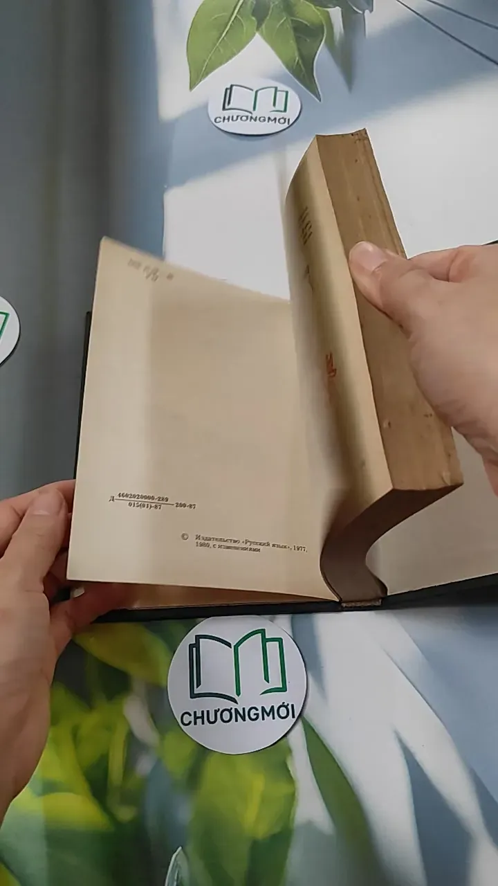 [MIỄN PHÍ BỌC SÁCH] A Book of Russian Idioms Illustrated - M.I. Dubrovin 749567