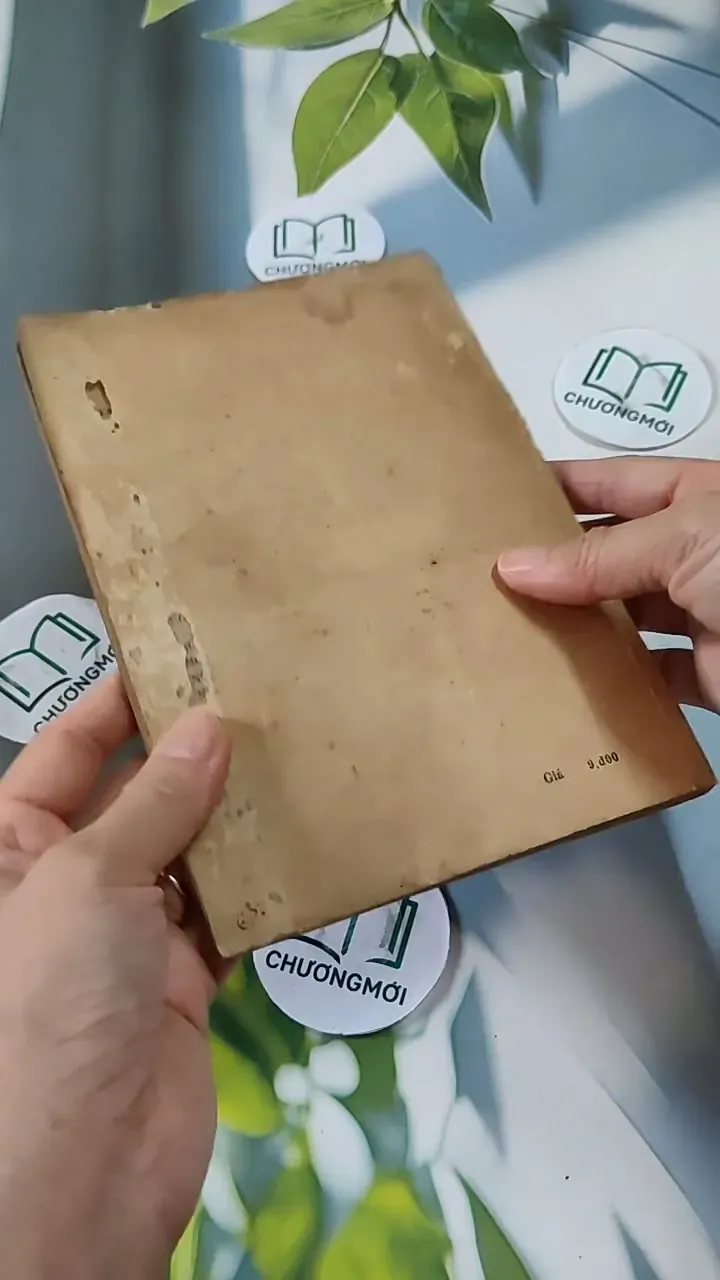 Hồi Nhỏ Các Nhà Văn Học Văn 713828