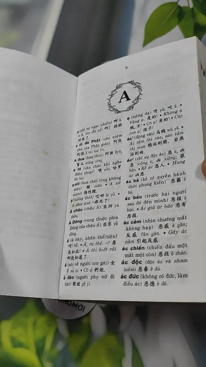 Từ Điển Việt Hoa - Kim Anh & Lệ Hằng 727299