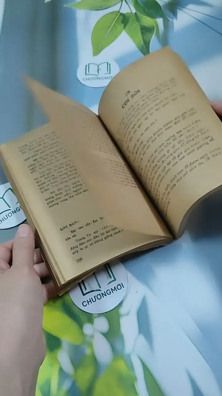 Cái Cười Của Thánh Nhân - Nguyễn Duy Cần 713889