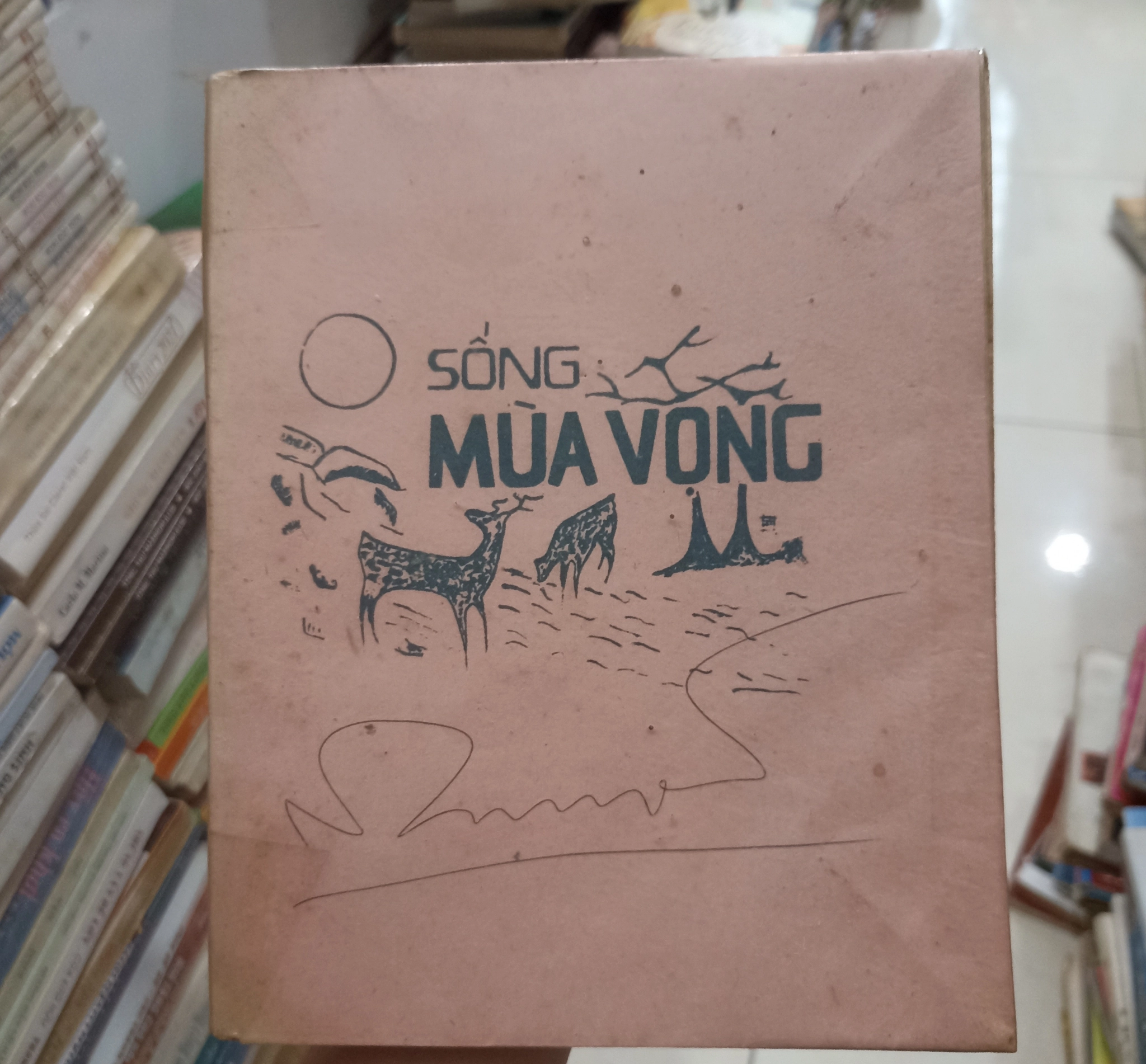 Sống mùa vọng 🌻