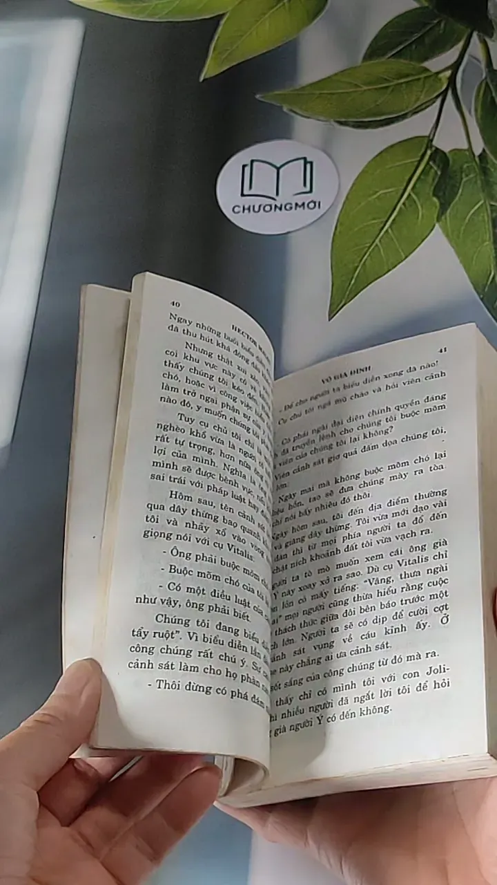 Vô Gia Đình (2001) - Hector Malot 607676