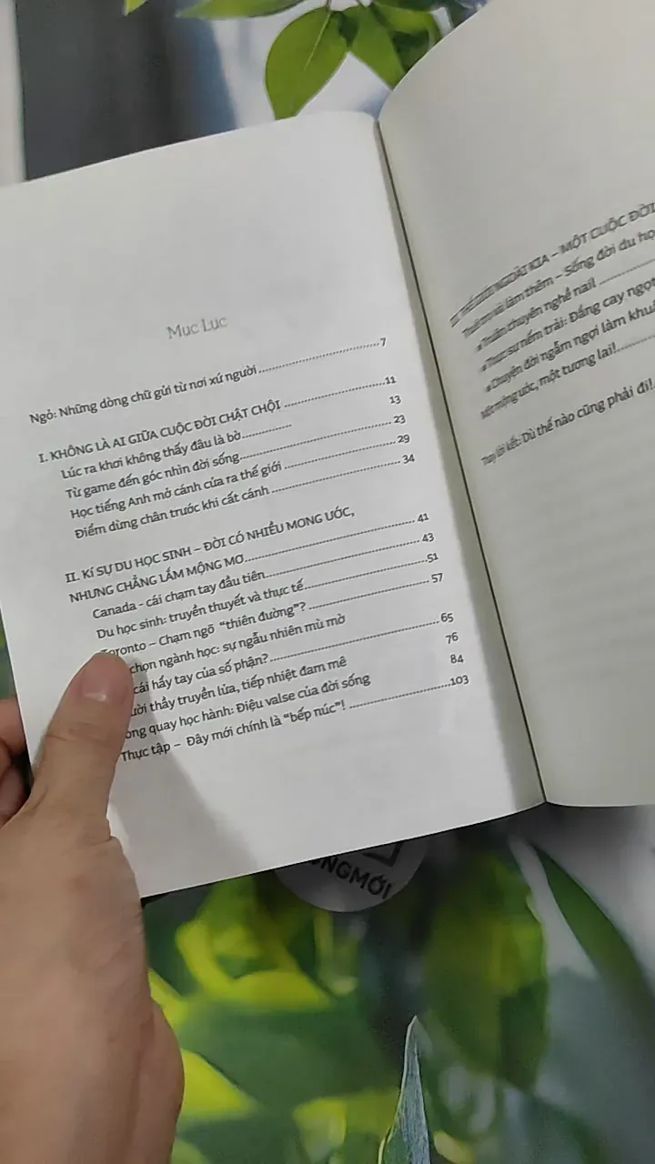 Dù Thế Nào Cũng Phải Đi - Đào Thu Hương 787128