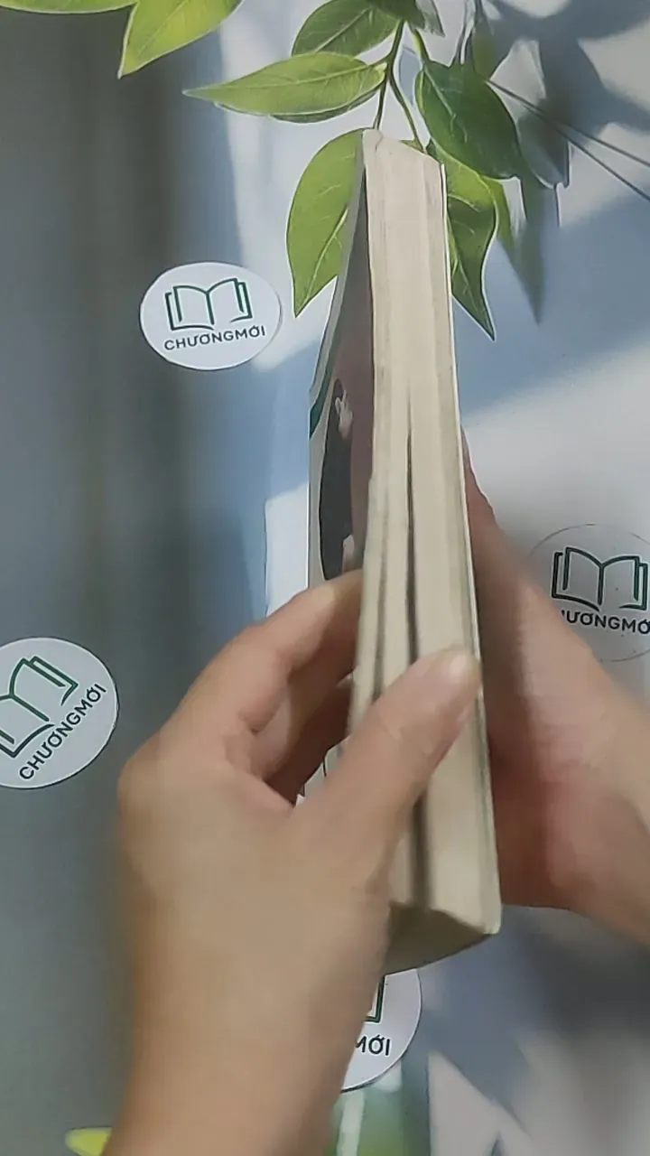 Cô đơn vào đời - Dịch Phấn Hàn 688643