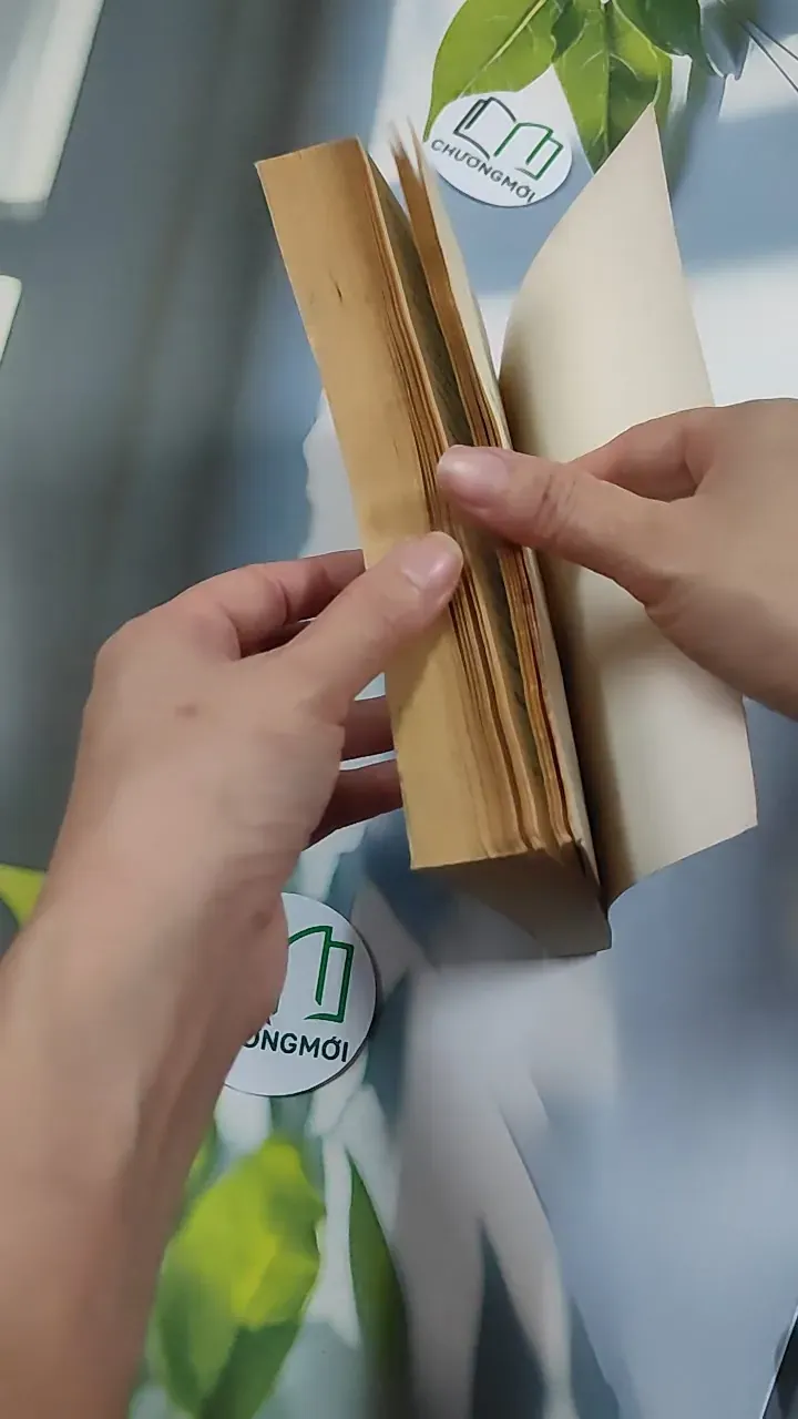 Thức Tỉnh Đi, Thế Gian Ơi! - Tỳ-kheo Revata 776133