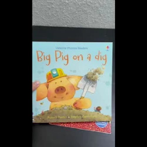 Usborne - Big Pig on a Dig