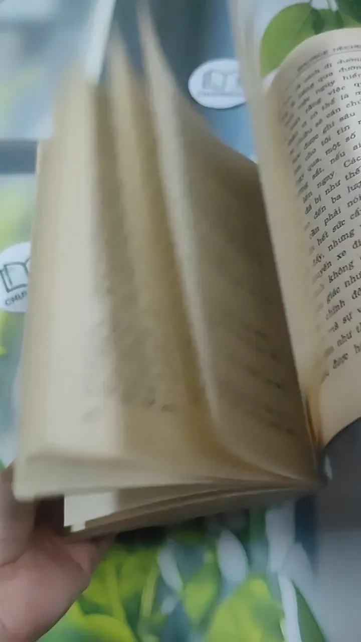 Nghệ Thuật Sống (1995) 727354