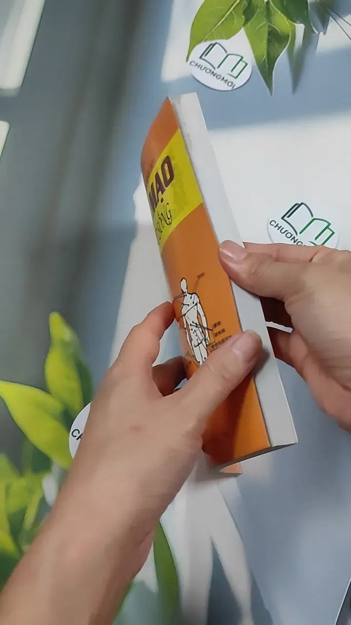 Tướng Mạo Trong Cuộc Sống - Thái Uyên & Hà Thiên 776128
