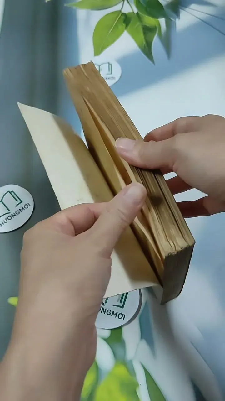 TêRêDa - G. AMaĐô 713871