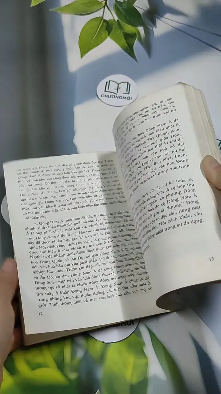 Văn Hóa Đông Nam Á - Mai Ngọc Chừ 707261