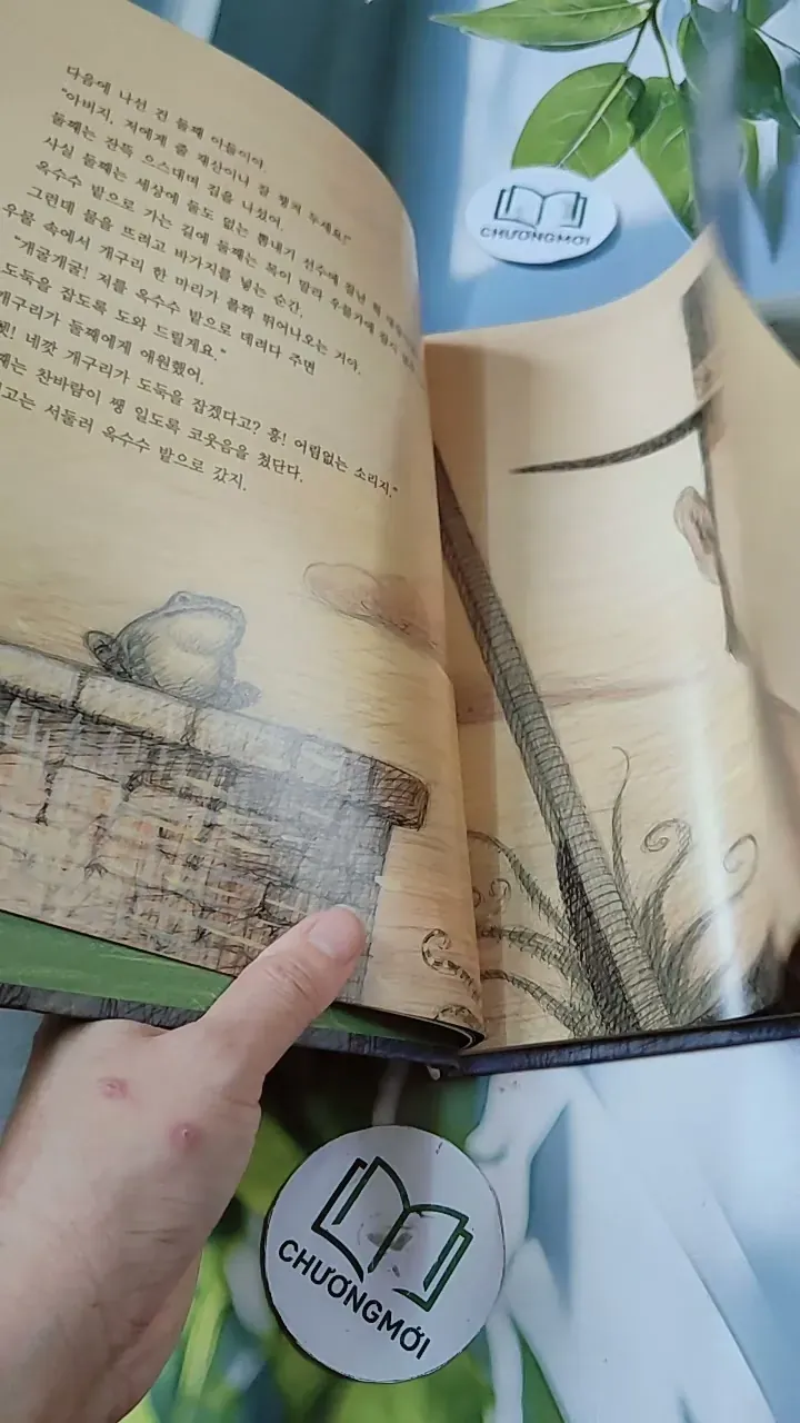 [Tặng nẹp góc] Truyện thiếu nhi Hàn Quốc: Moyamo Anu 23 -  모야모 아누와: 옥수수 도둑;. 회오리바람 732015