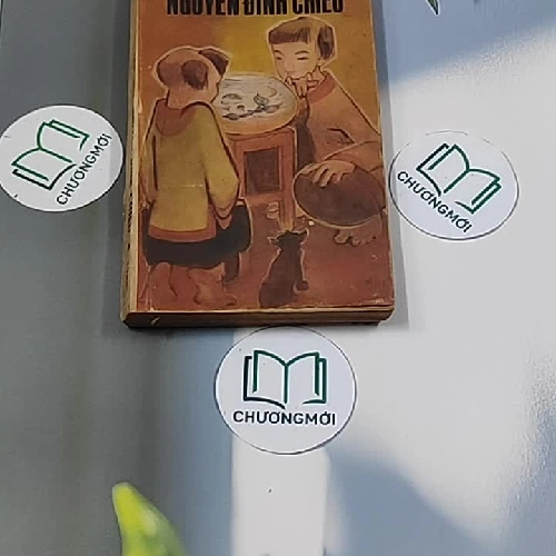 Tuổi Xanh Nguyễn Đình Chiểu (1987) - Thái Vũ