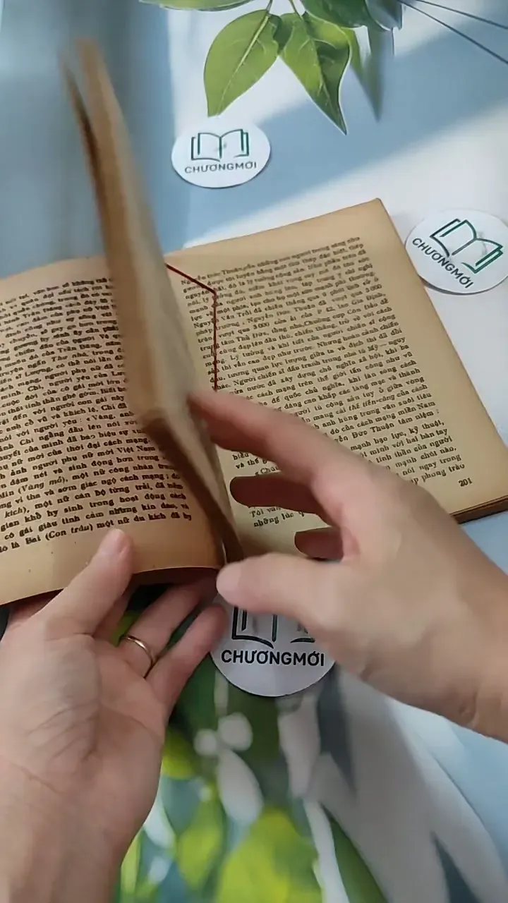 Hướng Dẫn Ôn Tập Và Làm Bài Thi Vào Các Trường Đại Học - Môn Văn 713821