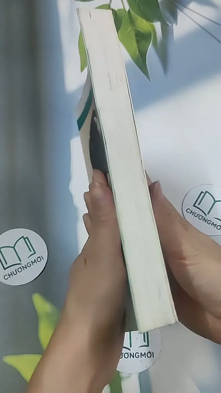 Cô đơn vào đời - Dịch Phấn Hàn 694945