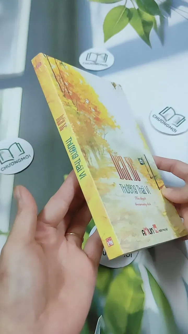 Bến Xe - Thương Thái Vi 744709