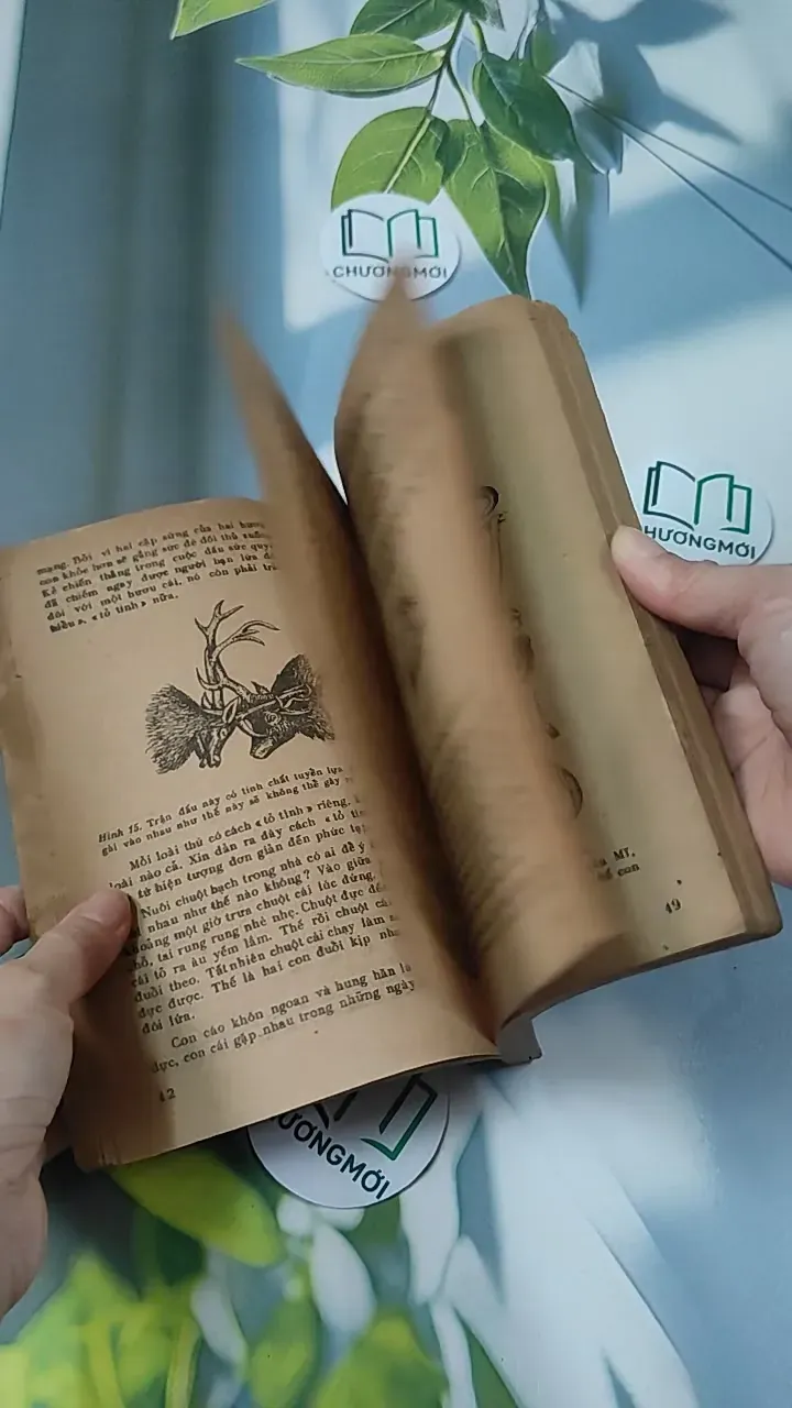 [XƯA] Tìm Hiểu Các Loài Thú (1988) - Lê Vũ Khôi 775993