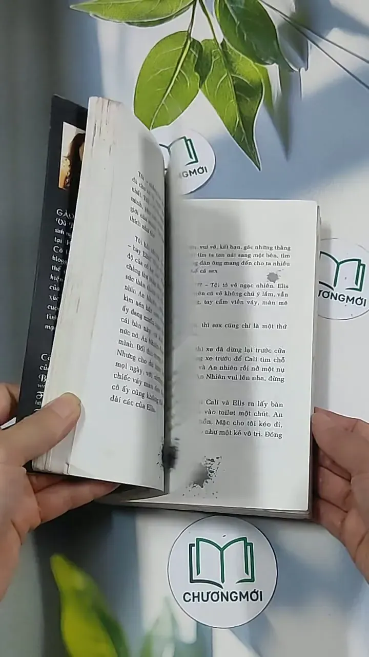 Nhật ký son môi - Gào 688720