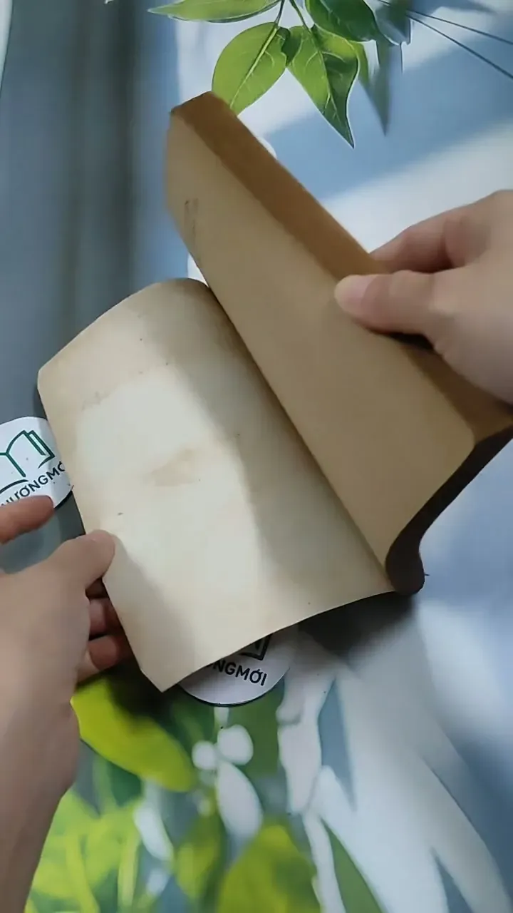 Một Chuyện Chép Ở Bệnh Viện - Bùi Đức Ái 713900