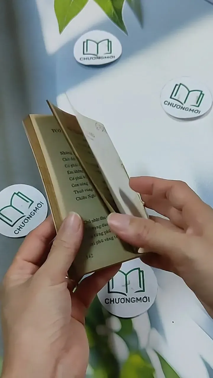 Hoa Trắng Tình Yêu - Ngô Văn Phú 703156