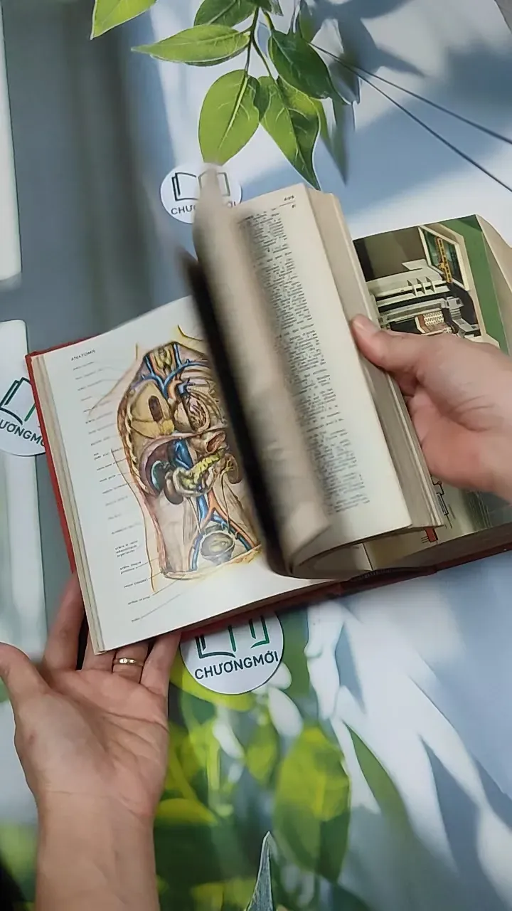 [MIỄN PHÍ BỌC SÁCH] Nouveau Petit Larousse 750740